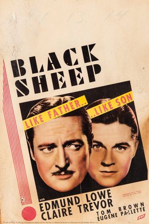 Black Sheep's poster