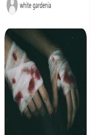Knight In Service To Her Majestys Bloodied Knees's poster