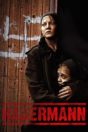 Habermann's poster