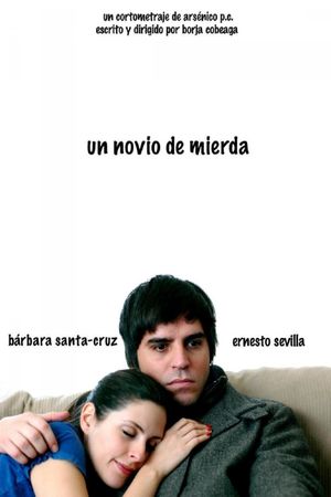 A Shitty Boyfriend's poster