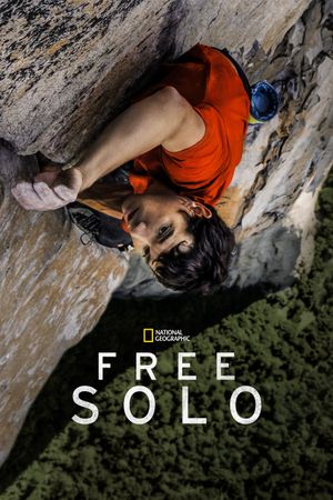 Free Solo's poster