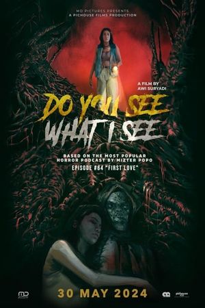 Do You See What I See's poster