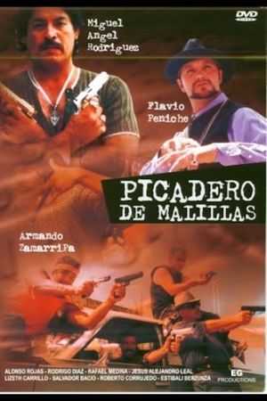 Picadero de malillas's poster