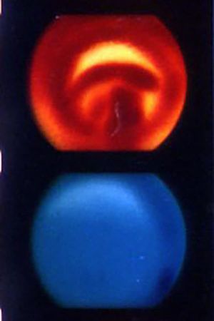 Iris's poster