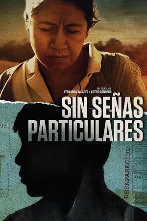 Identifying Features's poster