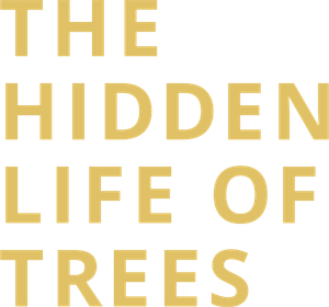 The Hidden Life of Trees's poster