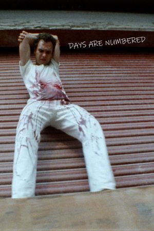 Days Are Numbered's poster