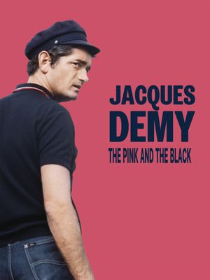 Jacques Demy, the Pink and the Black's poster