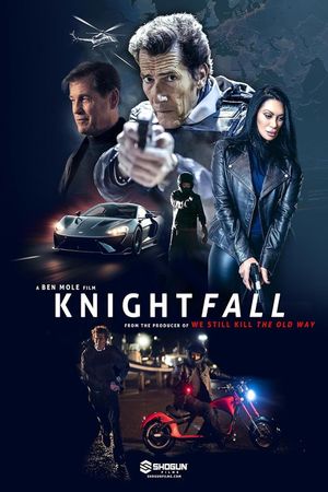 Knightfall's poster