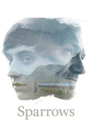 Sparrows's poster