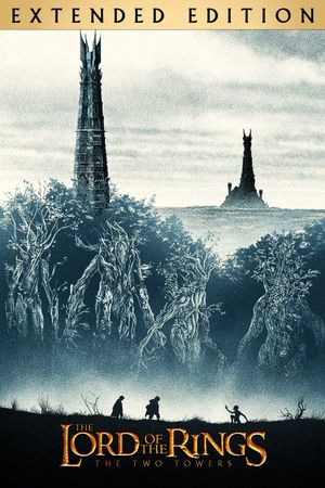 The Lord of the Rings: The Two Towers's poster