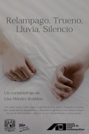 Silence After Storm's poster