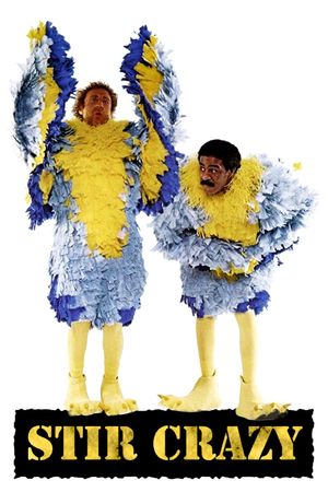 Stir Crazy's poster