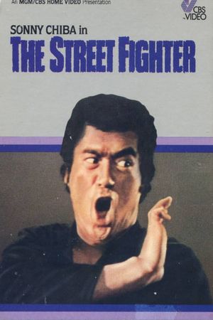 The Street Fighter's poster