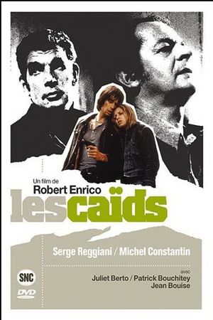 The Big Shots's poster