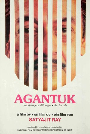 The Stranger's poster