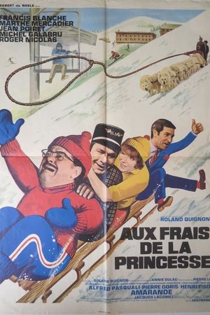 Aux frais de la princesse's poster