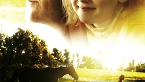 Dreamer's poster