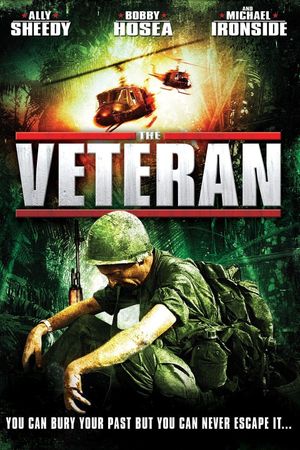 The Veteran's poster