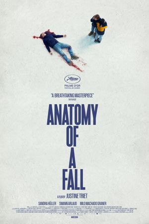 Anatomy of a Fall's poster