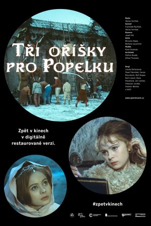 Three Wishes for Cinderella's poster