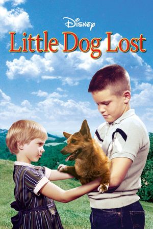 Little Dog Lost's poster