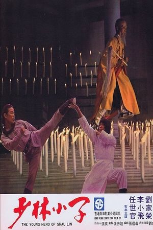 Young Hero of Shaolin's poster