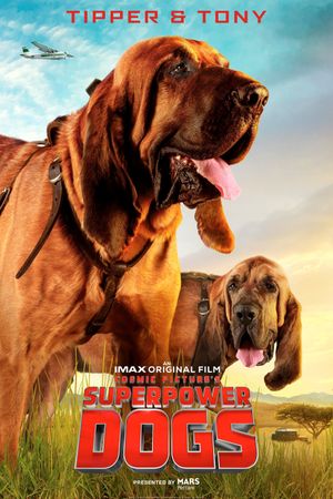 Superpower Dogs's poster