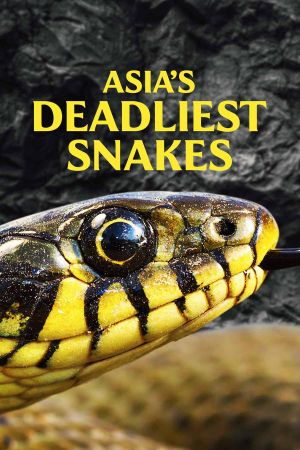 Asia's Deadliest Snakes's poster image