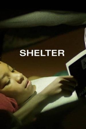 Shelter's poster image