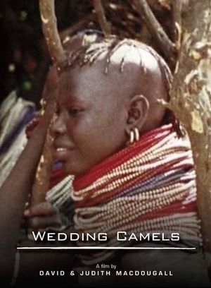 The Wedding Camels's poster