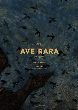 Ave Rara's poster