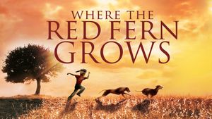 Where the Red Fern Grows's poster