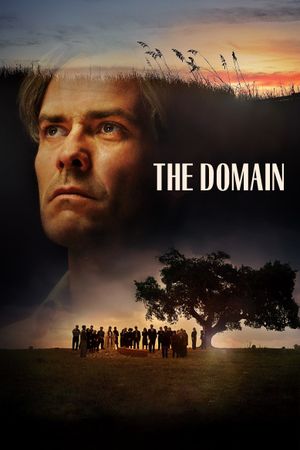 The Domain's poster