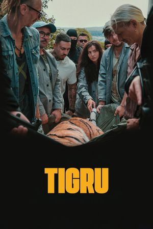 Day of the Tiger's poster