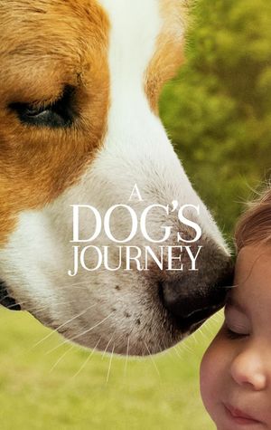 A Dog's Journey's poster