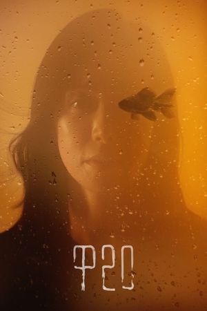 F20's poster