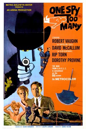 One Spy Too Many's poster image