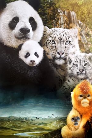 Born in China's poster