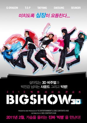 BIG BANG LIVE BIG SHOW 3D's poster