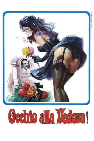 Occhio alla vedova!'s poster
