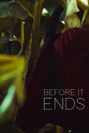 Before It Ends's poster