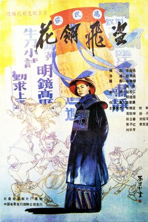 花翎飞盗's poster