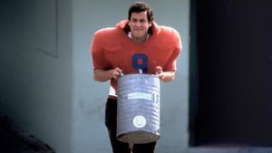 The Waterboy's poster