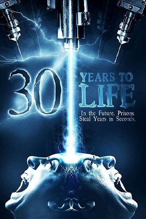 30 Years to Life's poster image