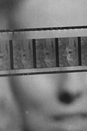 The Birth of Cinema's poster