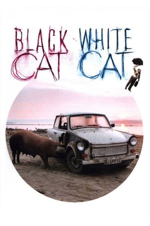 Black Cat, White Cat's poster image