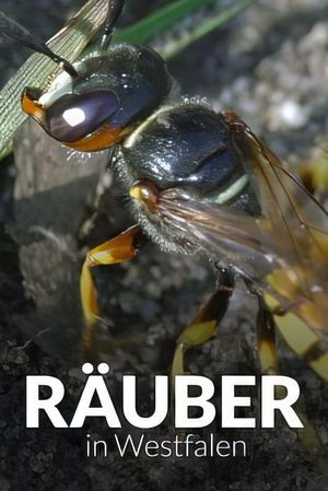 Räuber in Westfalen - Neues Leben in Panzerspuren's poster