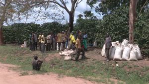 The Mubende Case and the bitter taste of eviction's poster