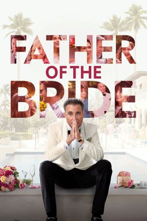 Father of the Bride's poster
